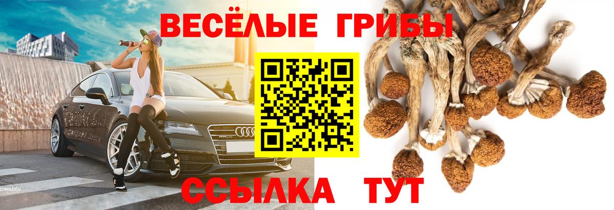 как найти   Псилоцибиновые грибы мухоморы  Вход с VPN  Псилоцибиновые грибы Psilocybine cubensis  Ростов Великий 